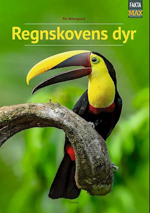 Regnskovens dyr