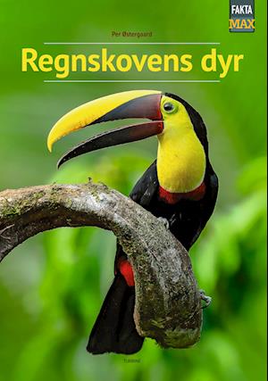 Regnskovens dyr