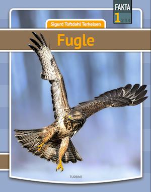 Fugle