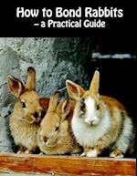 How to bond rabbits