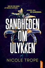 Sandheden om ulykken