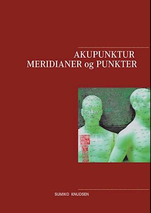 Akupunktur Meridianer og Punkter