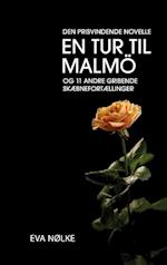 Den prisvindende novelle En tur til Malmö og 11 andre gribende skæbnefortællinger
