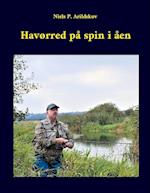 Havørred på spin i åen