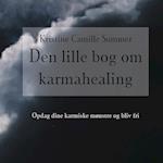 Den lille bog om karma-healing