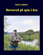 Havørred på spin i åen