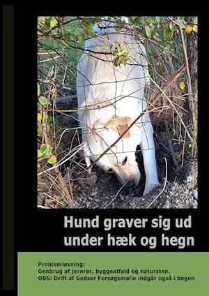 Hund graver sig ud under Hæk og Hegn