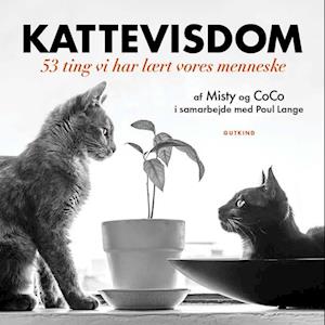 Kattevisdom