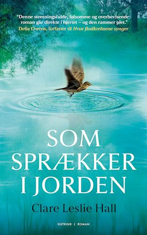 Som sprækker i jorden - Clare Leslie Hall - Bog