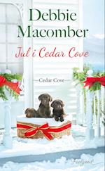 Jul i Cedar Cove