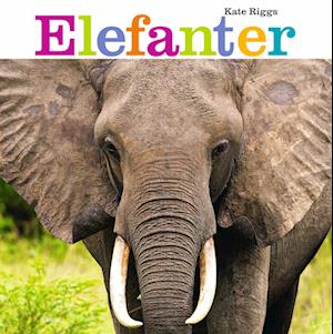 Elefanter