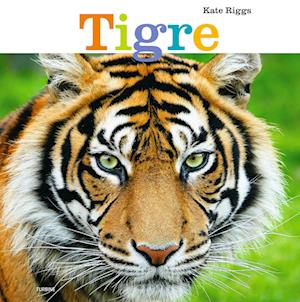 Tigre