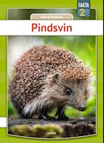 Pindsvin