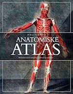 Politikens anatomiske atlas