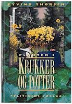 Planter i krukker og potter