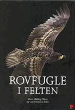 Rovfugle i felten