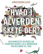 Hvad i alverden skete der?