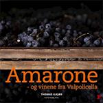 Amarone og vinene fra Valpolicella