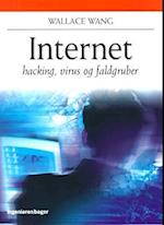 Internet - hacking, virus og faldgruber