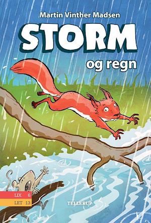 Storm og regn