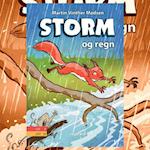 Storm #2: Storm og regn