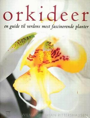 Orkideer