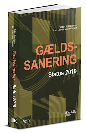 Gældssanering – status  2019