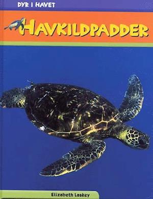 Havskildpadder