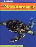 Havskildpadder