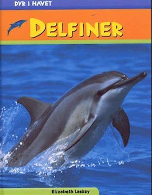 Delfiner