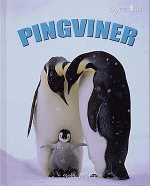 Pingviner