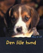 Den lille hund