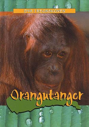 Orangutanger