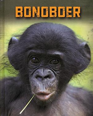 Bonoboer