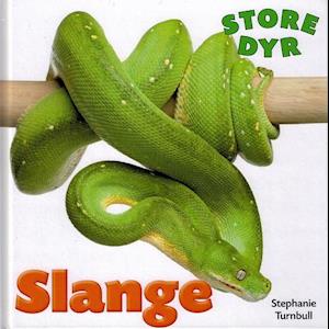 STORE DYR: Slange