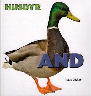 HUSDYR: And