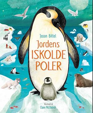 Jordens iskolde poler