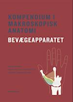 Kompendium i makroskopisk anatomi - bevægeapparatet