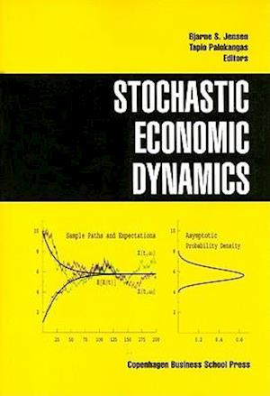 Stochastic economic dynamics