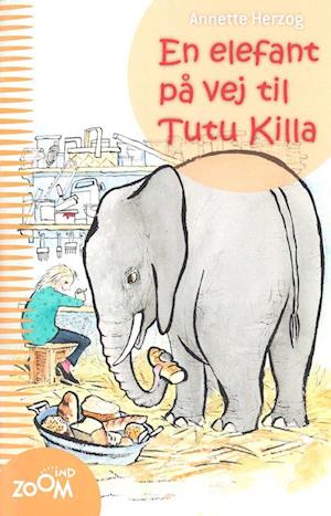 En elefant på vej til Tutu Killa