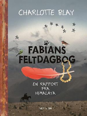 Fabians feltdagbog