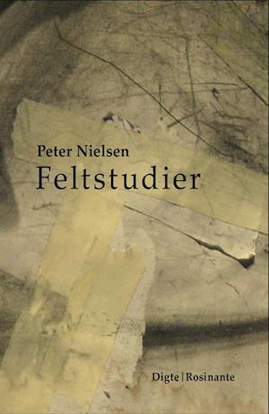 Feltstudier