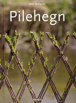 Pilehegn