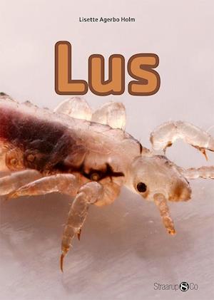 Lus