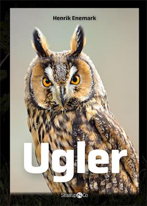 Ugler