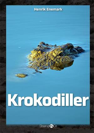 Krokodiller