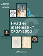 Hvad er matematik? - C