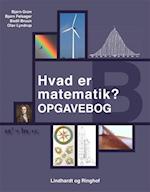 Hvad er matematik? - B