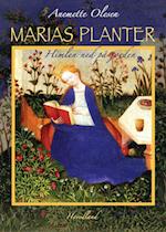 Marias planter