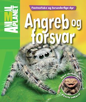 Angreb og forsvar